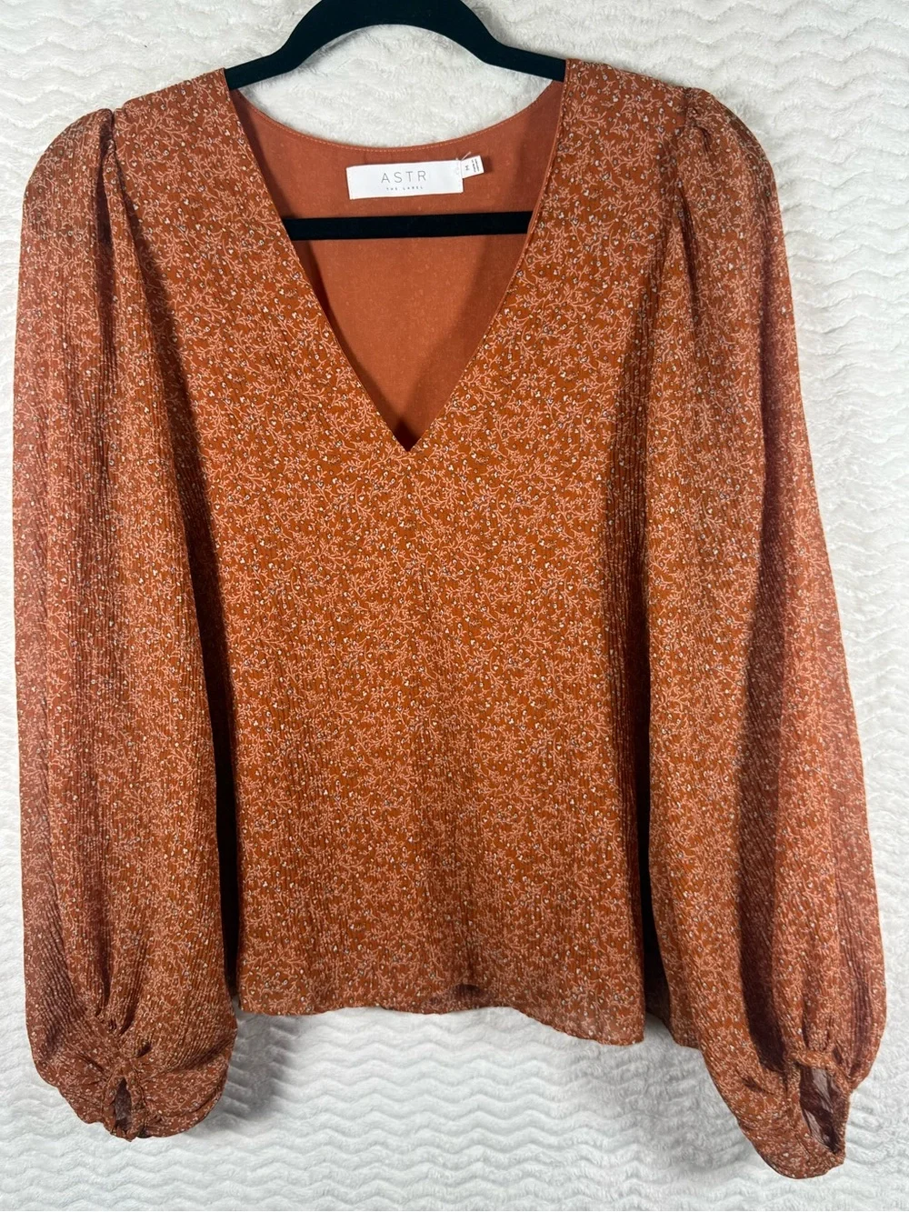 Astr Rust Floral V-Neck Puff Sleeve Blouse. Sheer arms and screams fall 🔥🧡